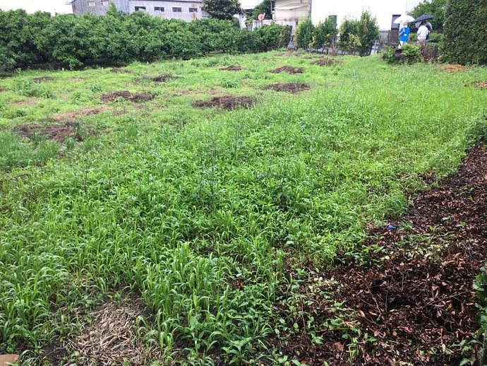 辻堂物件画像
