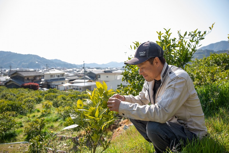 藪内晃幸さんの写真4
